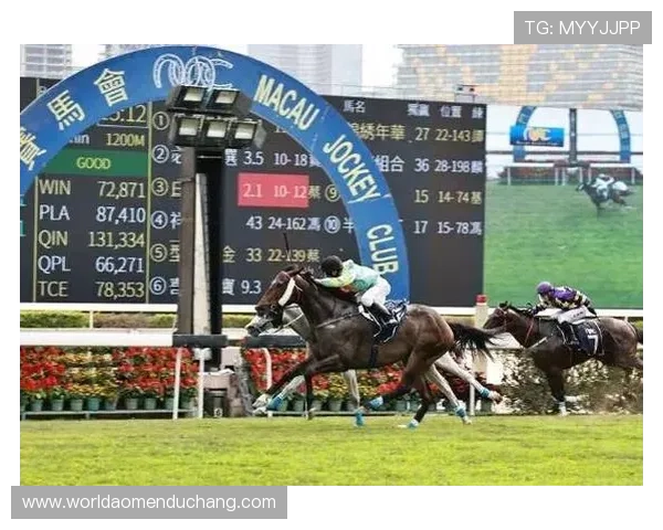 澳门赛马规则中的重要条款及其在实际比赛中的应用 澳门赛马规则中的重要条款及其在实际比赛中的应用