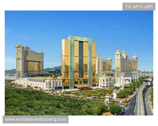 澳门银河钻石秀表演现场震撼，感受奢华与艺术的完美融合