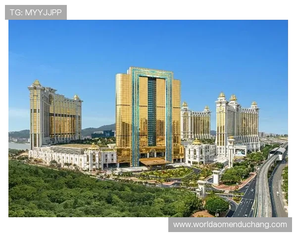 澳门银河娱乐场股份有限公司最新财务报告与投资者关系全景解读 澳门银河娱乐场股份有限公司最新财务报告与投资者关系全景解读