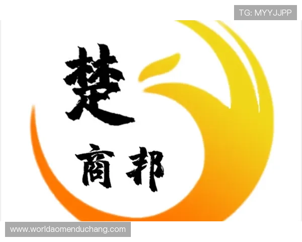 银河嘉佩乐营收突破新高详细解析公司财务表现与市场竞争优势