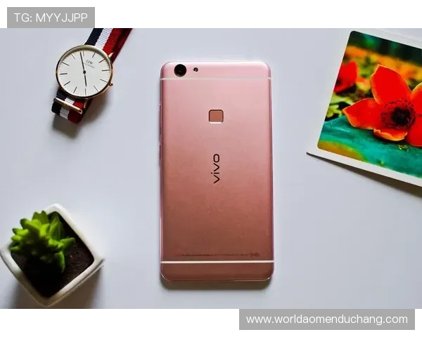 大阳城线上手机版全面升级，带你体验极致畅快的游戏快感