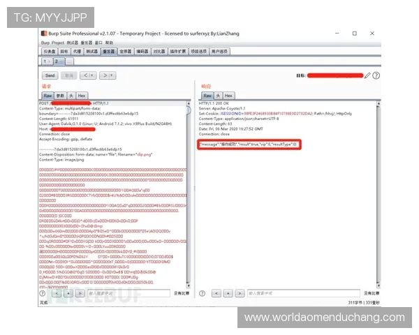 永乐高网站app安全性分析及常见问题解决方案，保障您的账号安全与顺畅体验