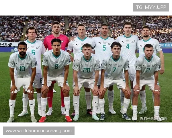 世界杯新西兰对比利时攻防实力全面分析与比赛前瞻